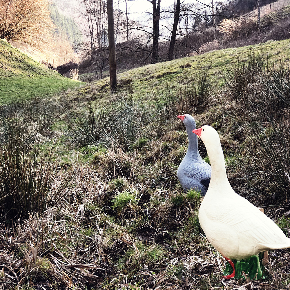 Gänse Atrappe